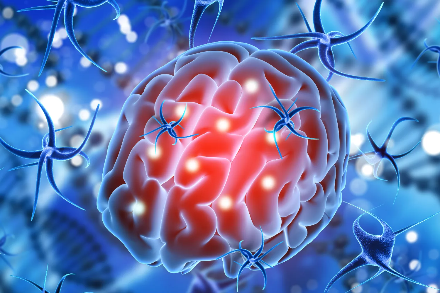 Brain-Eating Amoeba Kerala