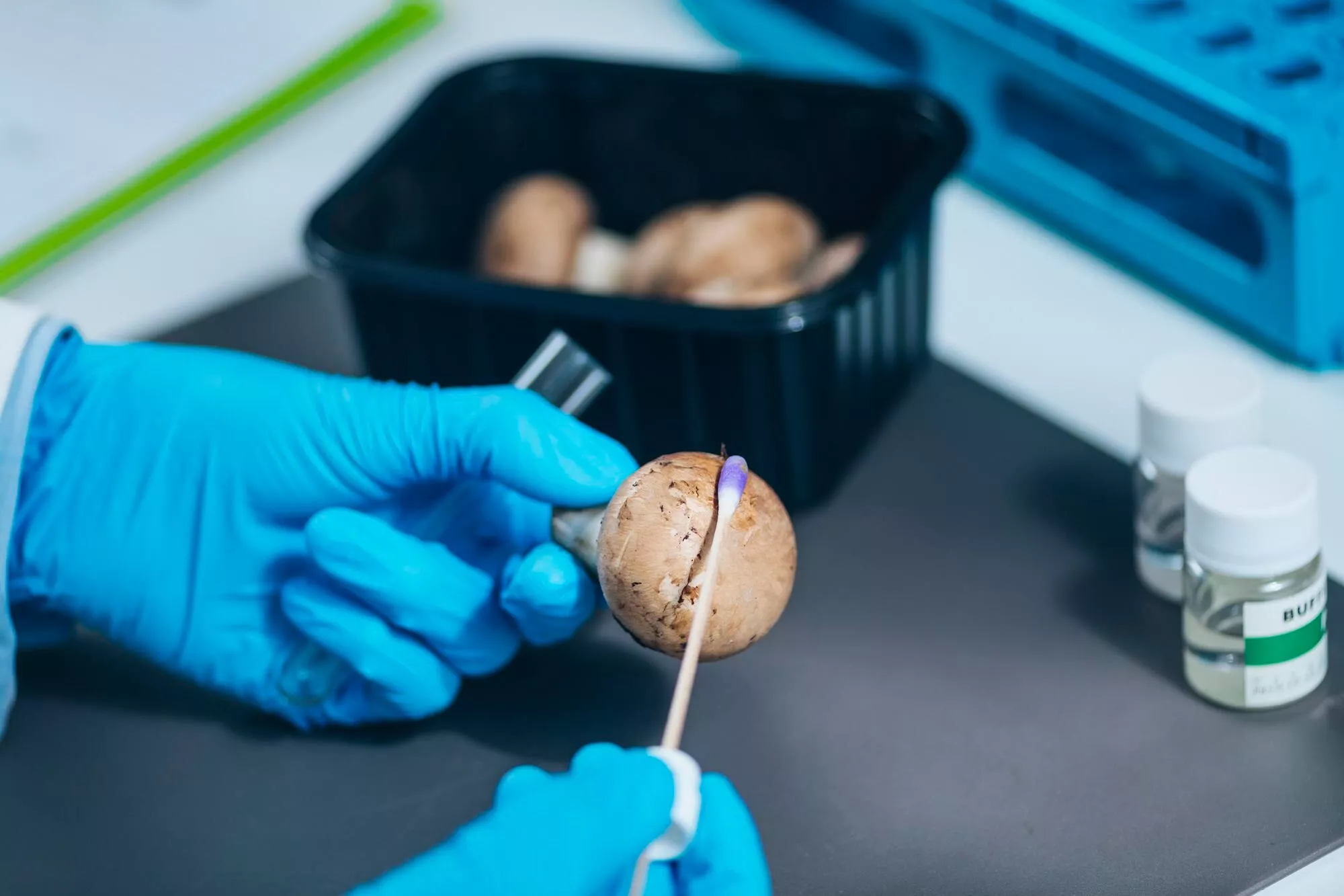 Food Safety Testing Guide